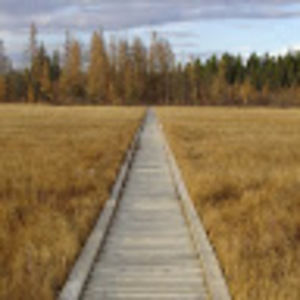 Meet your Posher, Ronny and carla